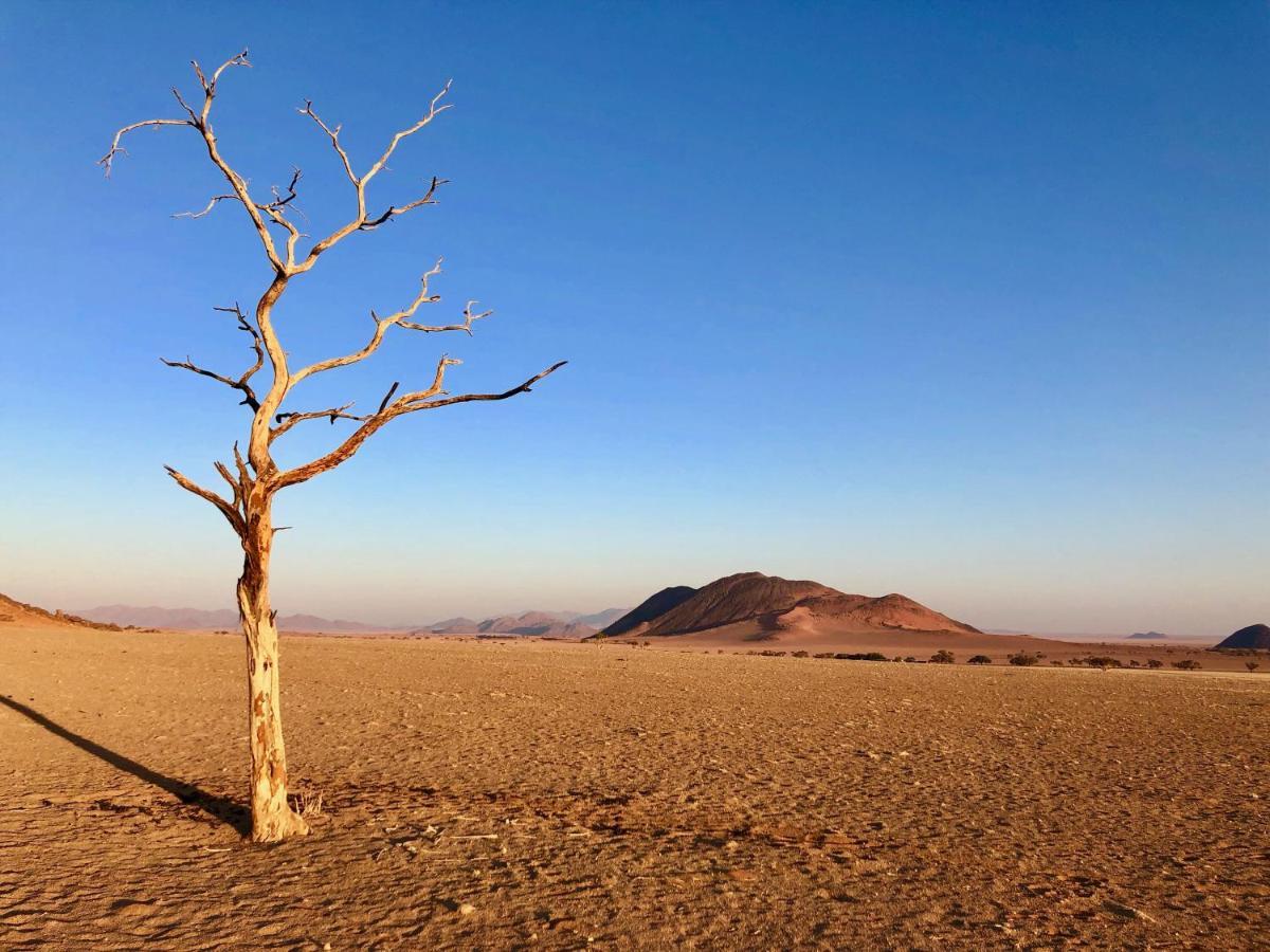 Greenfire Desert Lodge Малтахохе Екстериор снимка